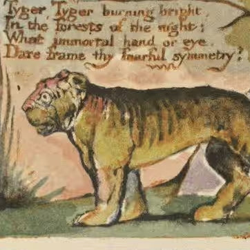 William Blake Tyger